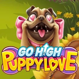 Go High Puppy Love logo by RubyPlay at RoyalsTiger Casino