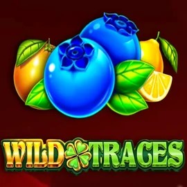 Wild Traces by Amusnet Interactive, showcased at royalstigerr.com – game logo